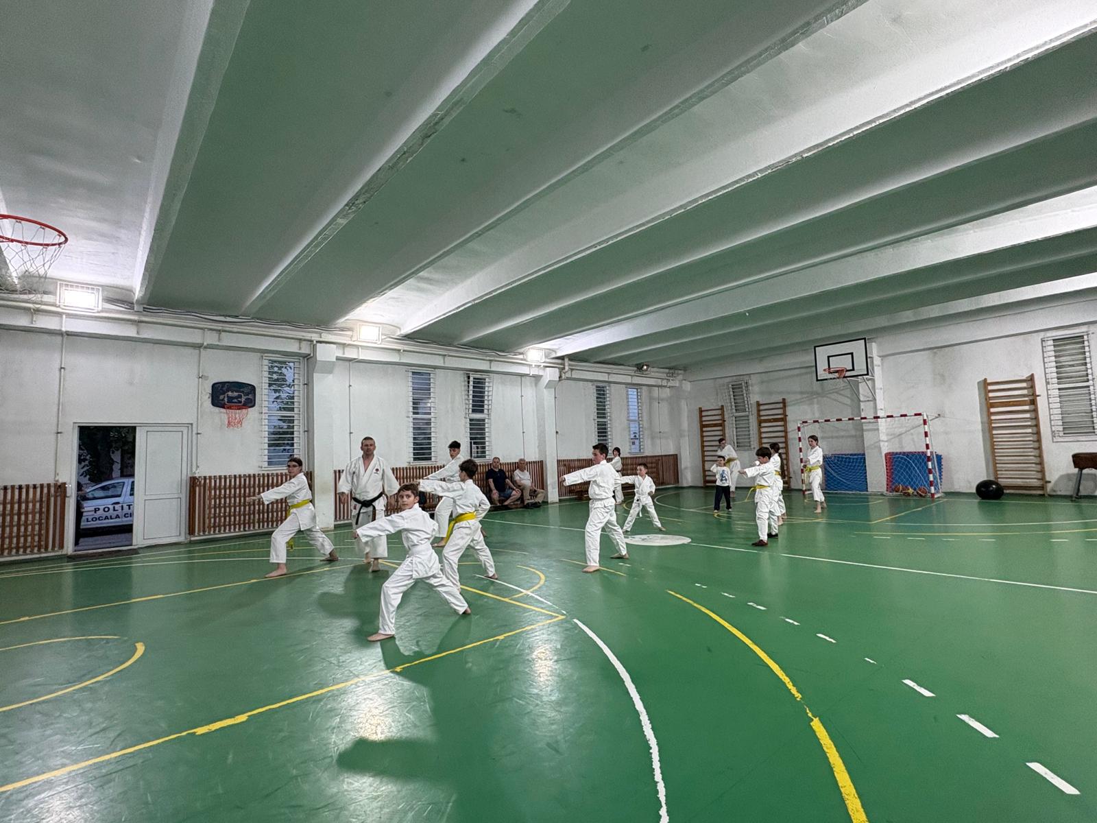 Lunca Cetatuii (Ciurea) - Photo 1