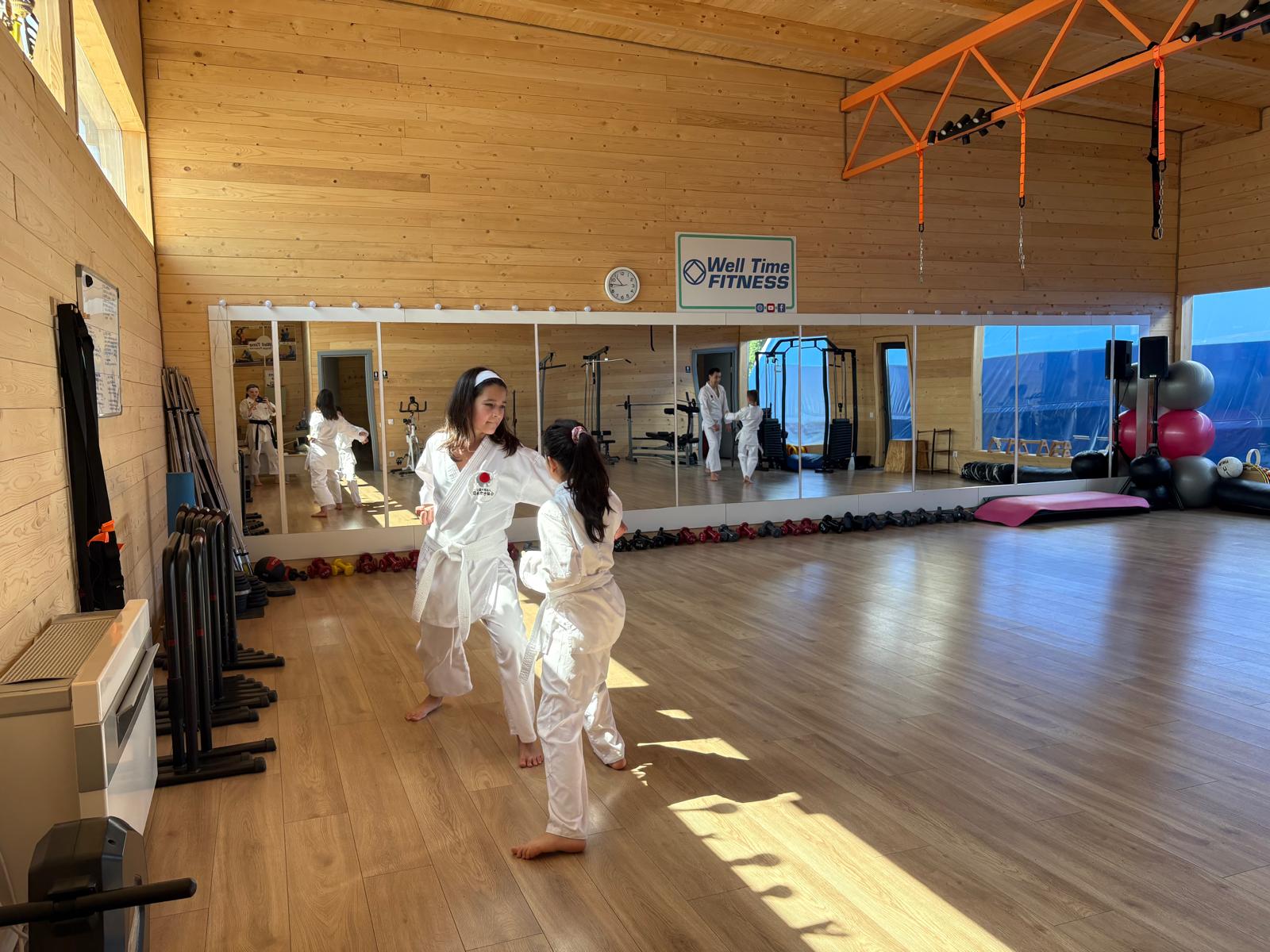 Tudor Vladimirescu - Photo 1